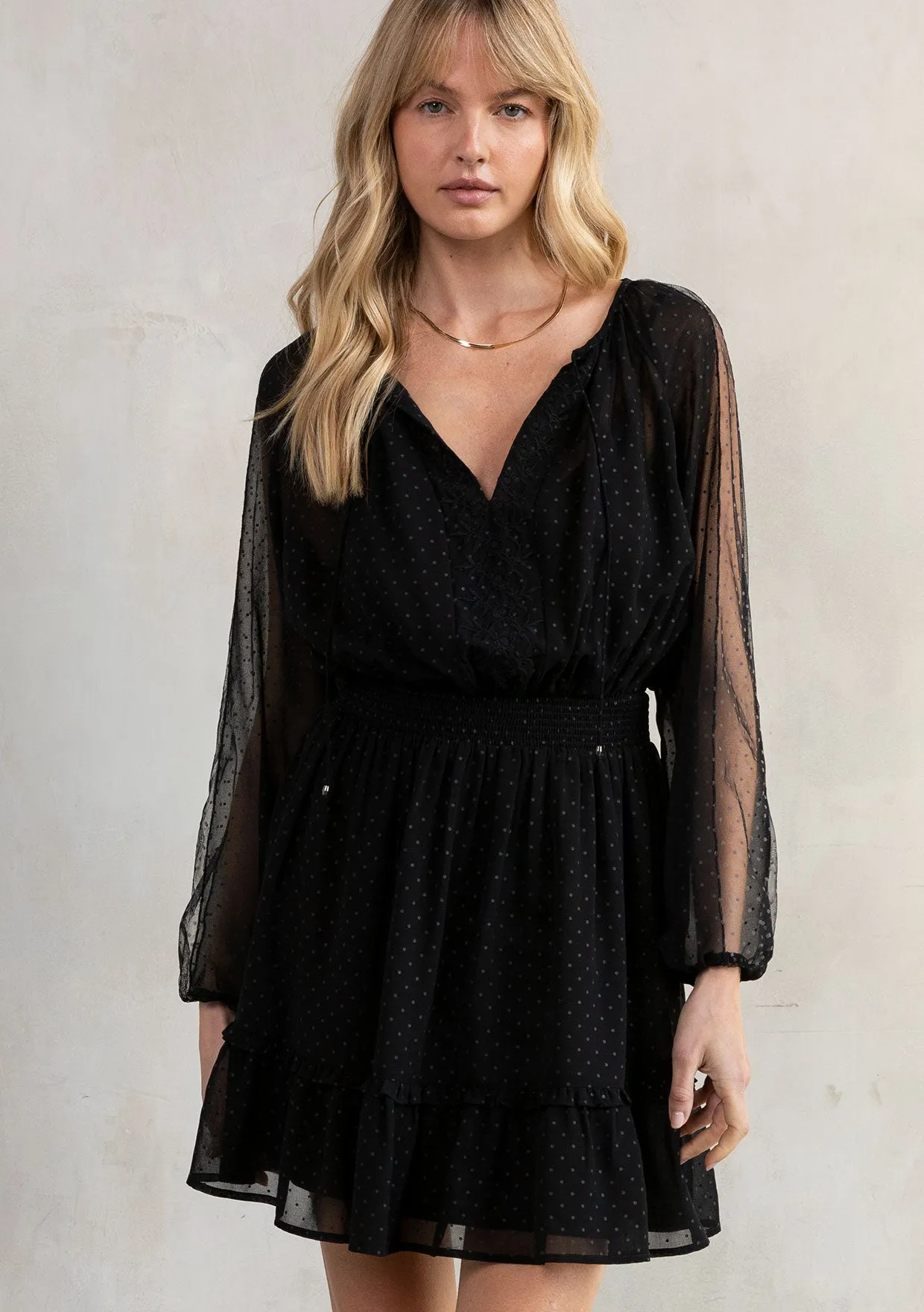 Ruffled Sheer Polka Dot Bohemian Mini Dress