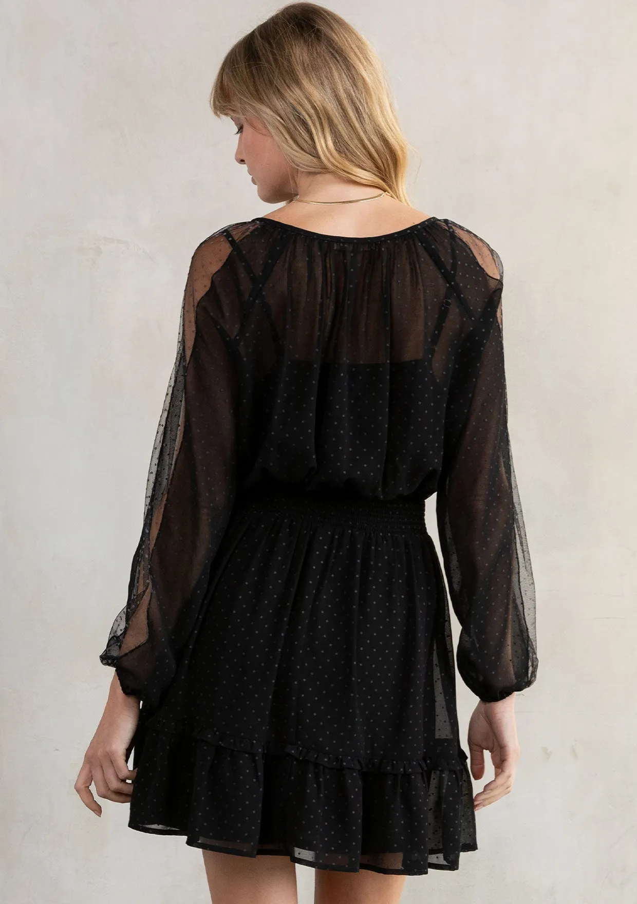 Ruffled Sheer Polka Dot Bohemian Mini Dress