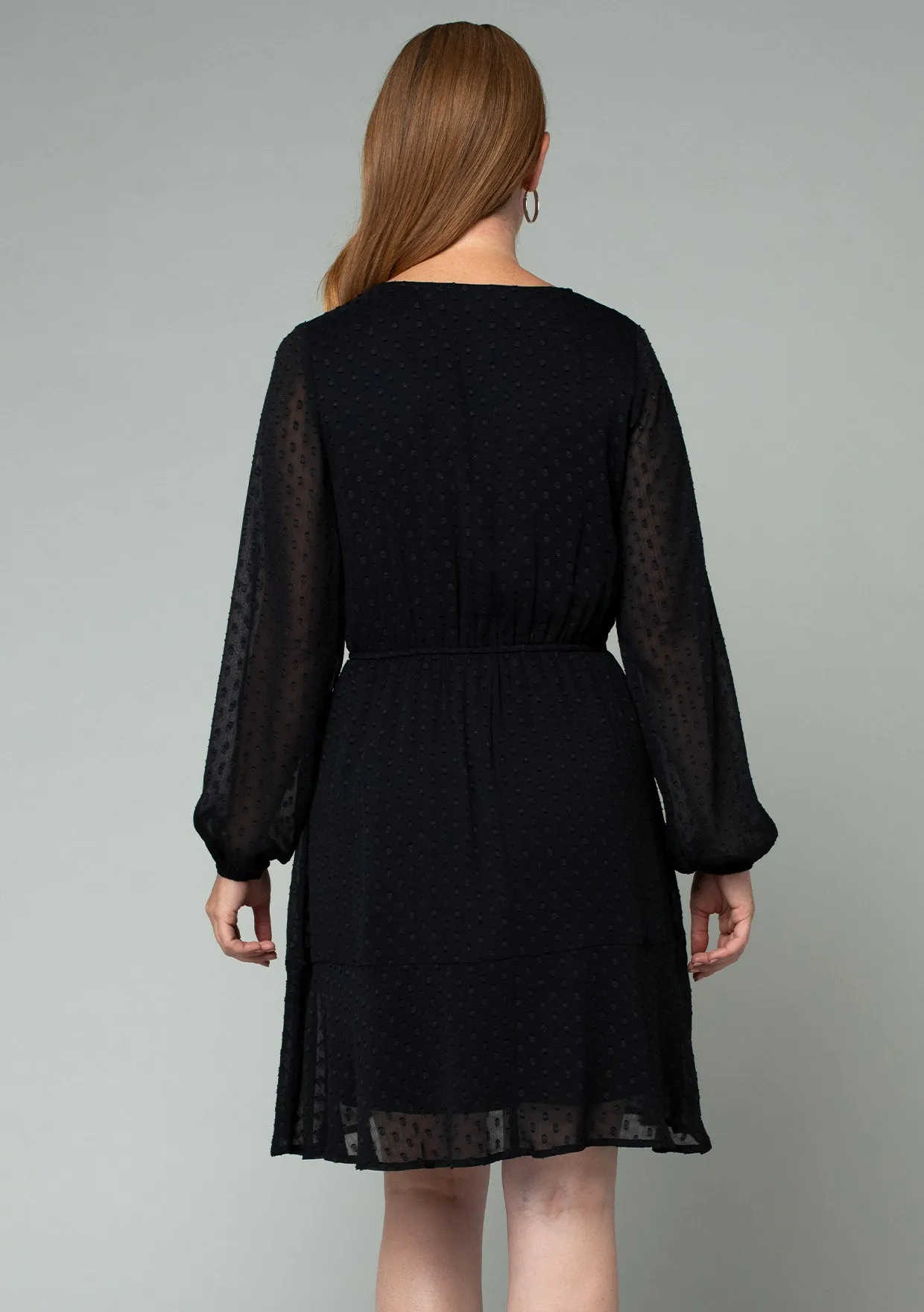Swiss Dot Long Sleeve V Neck Tie Front Mini Dress