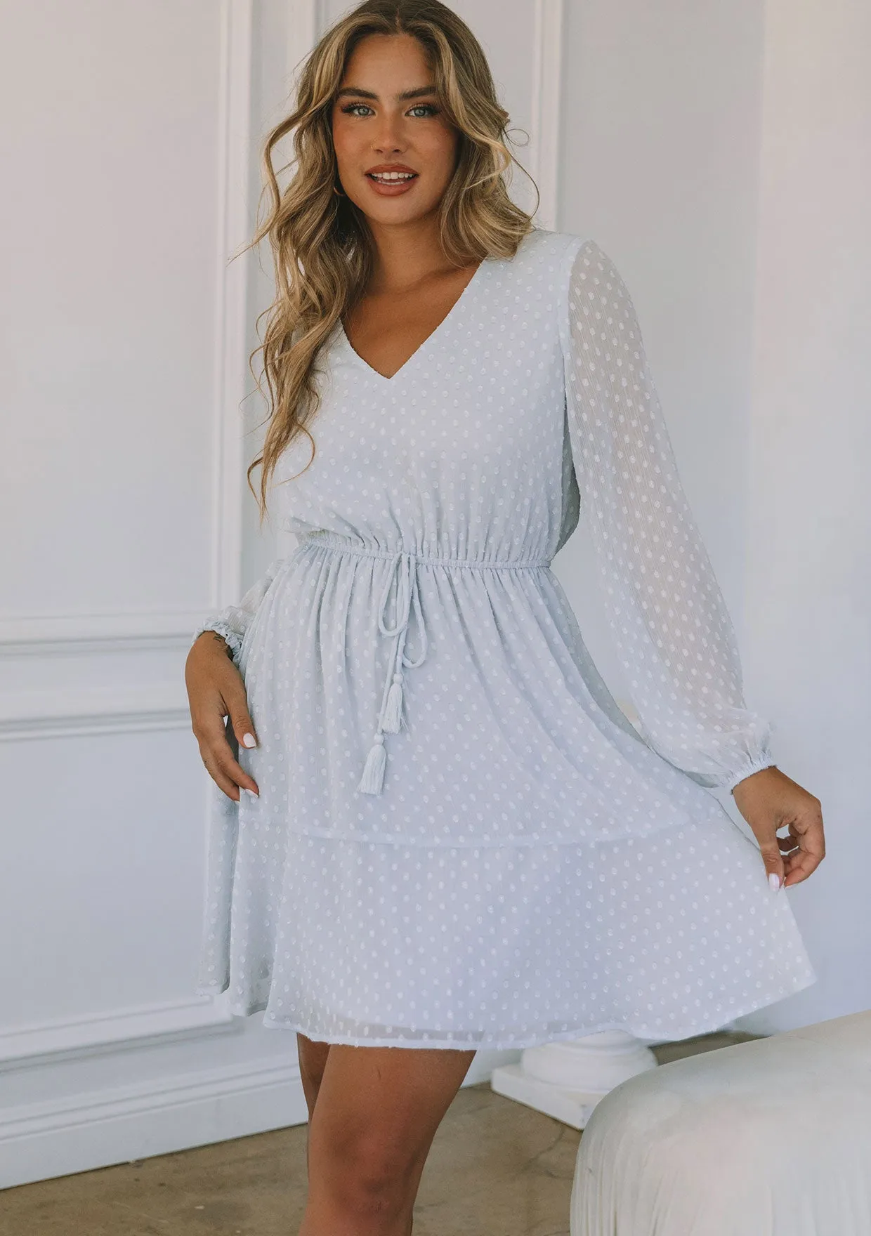 Swiss Dot Long Sleeve V Neck Tie Front Mini Dress