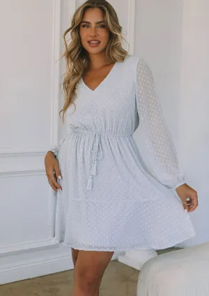 Swiss Dot Long Sleeve V Neck Tie Front Mini Dress