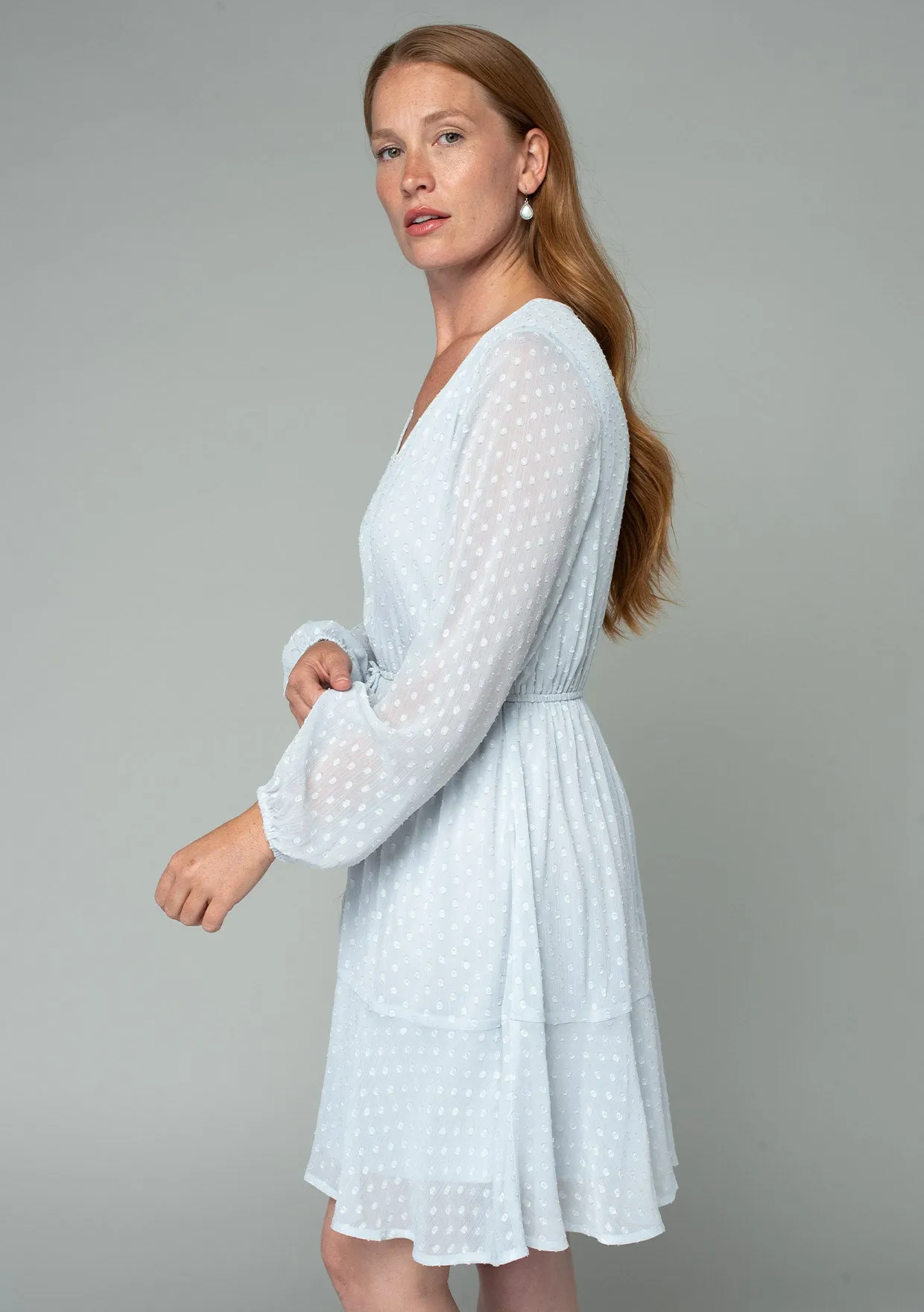Swiss Dot Long Sleeve V Neck Tie Front Mini Dress