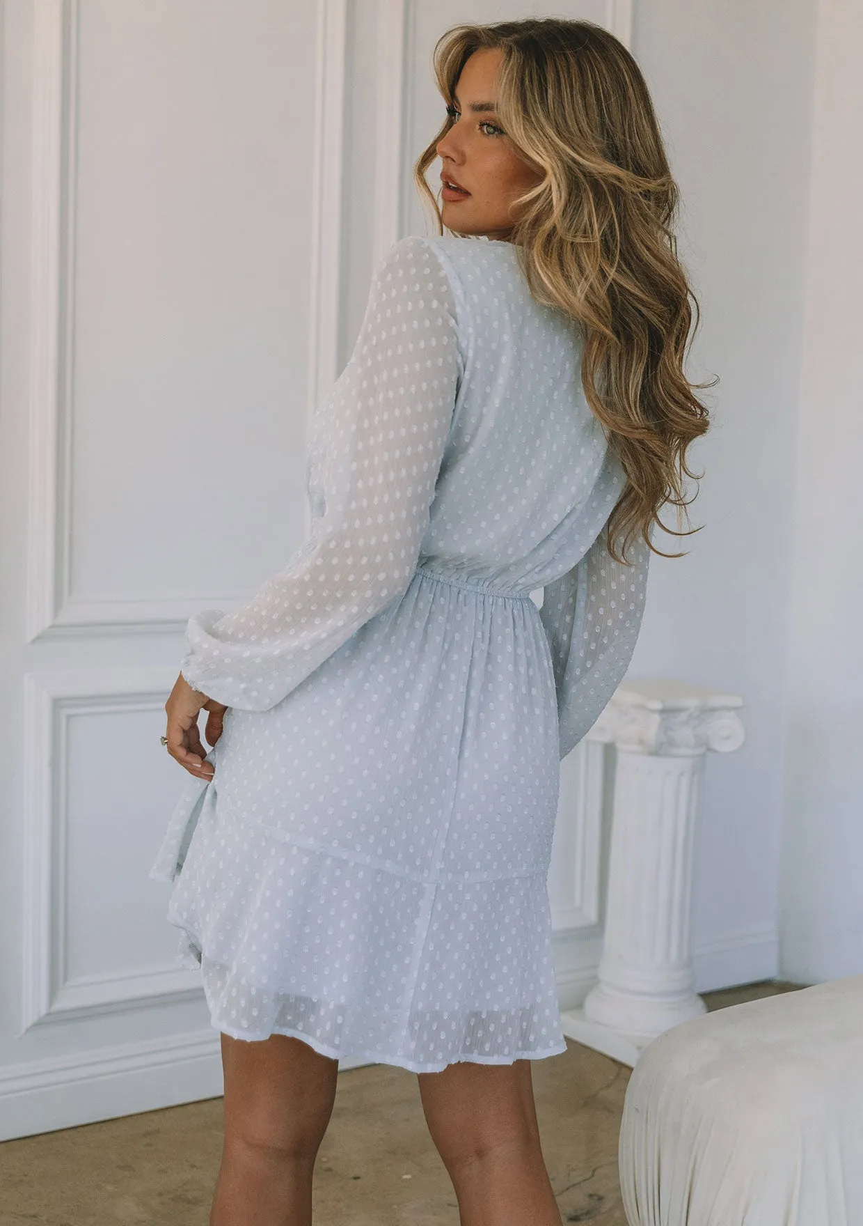 Swiss Dot Long Sleeve V Neck Tie Front Mini Dress