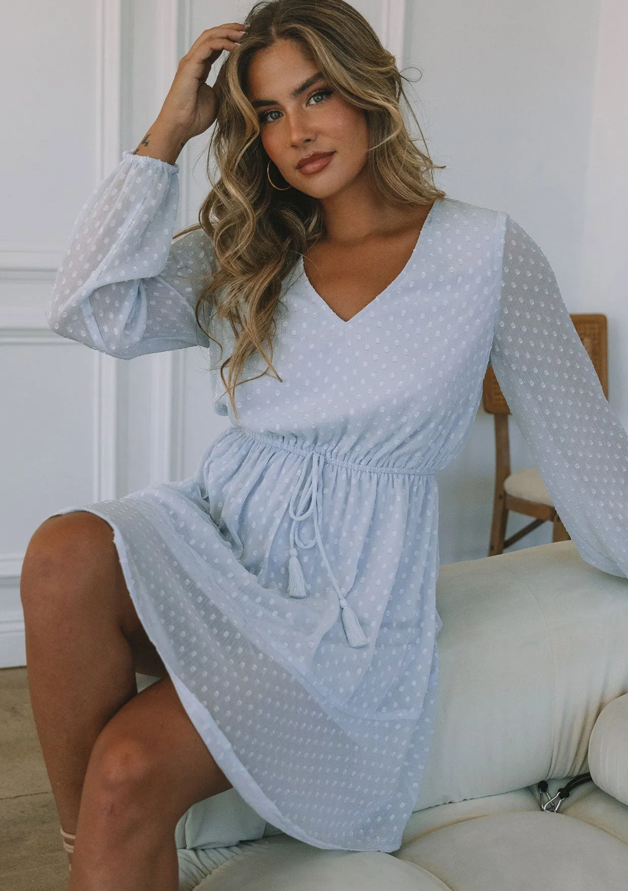 Swiss Dot Long Sleeve V Neck Tie Front Mini Dress