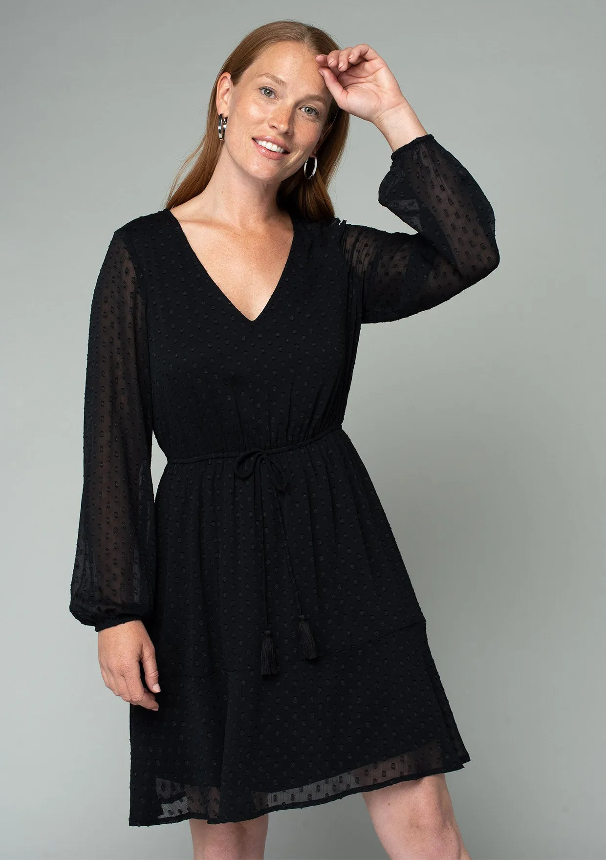 Swiss Dot Long Sleeve V Neck Tie Front Mini Dress