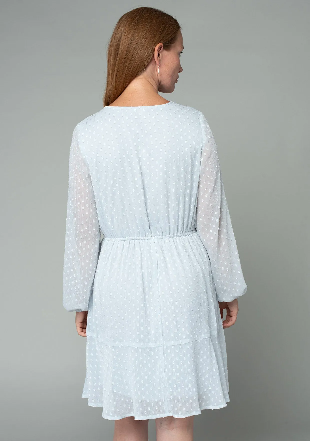 Swiss Dot Long Sleeve V Neck Tie Front Mini Dress
