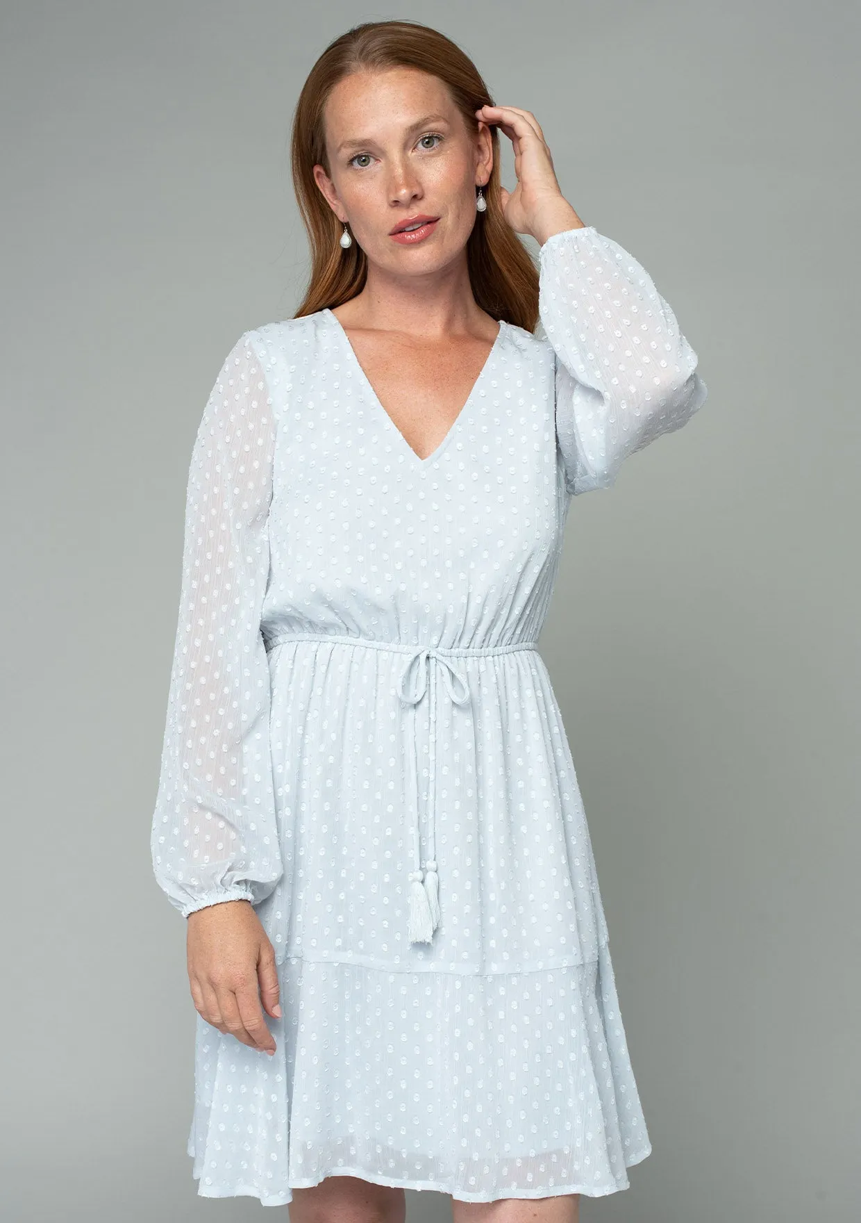 Swiss Dot Long Sleeve V Neck Tie Front Mini Dress