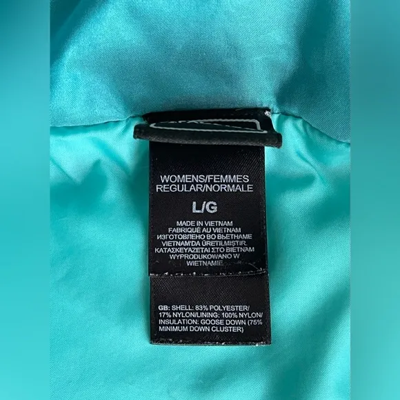 The North Face 550 Down Puffer Jacket In Emerald Teal/Blue/Green Size L