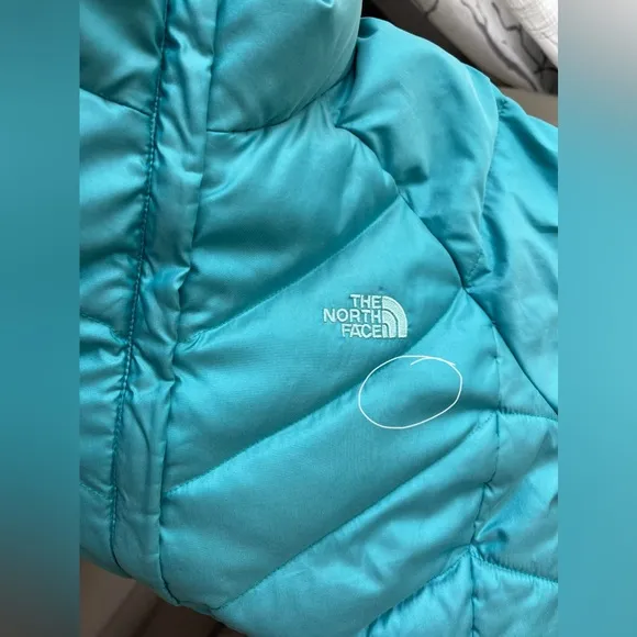 The North Face 550 Down Puffer Jacket In Emerald Teal/Blue/Green Size L