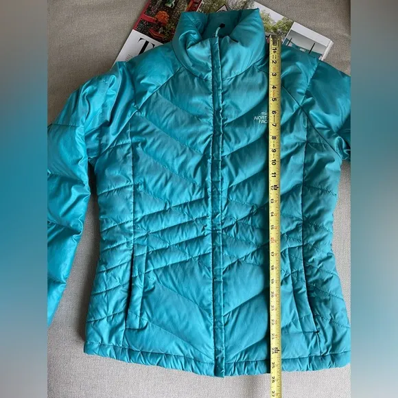 The North Face 550 Down Puffer Jacket In Emerald Teal/Blue/Green Size L