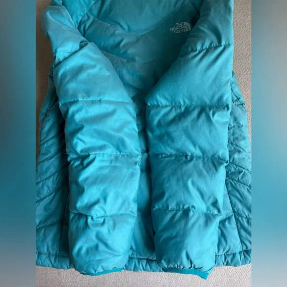 The North Face 550 Down Puffer Jacket In Emerald Teal/Blue/Green Size L